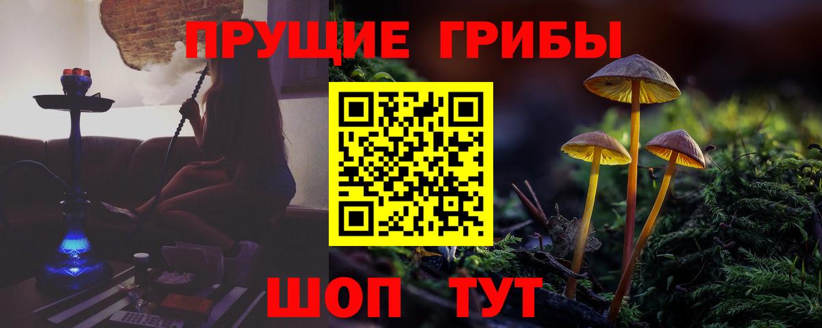 Всеволожск  Галлюциногенные грибы MAGIC MUSHROOMS  Псилоцибиновые грибы Magic Shrooms  Вход с VPN 